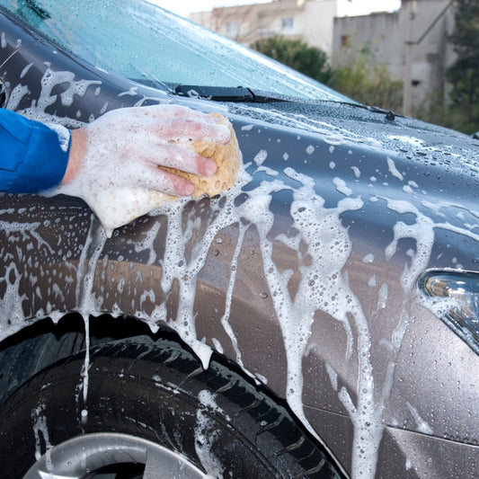 Autowaschen am Main in Würzburg: Was ist erlaubt?