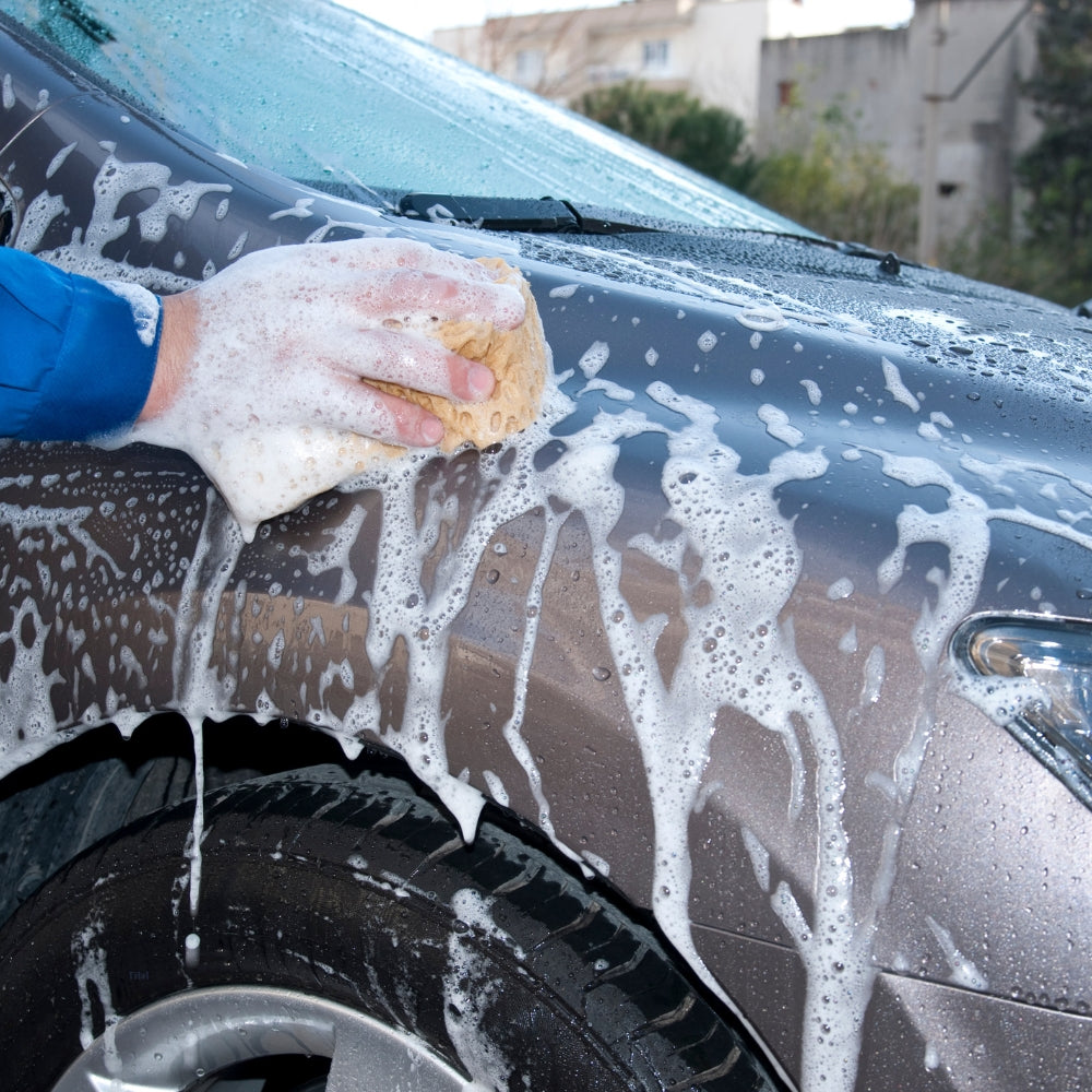 Autowaschen am Main in Würzburg: Was ist erlaubt?